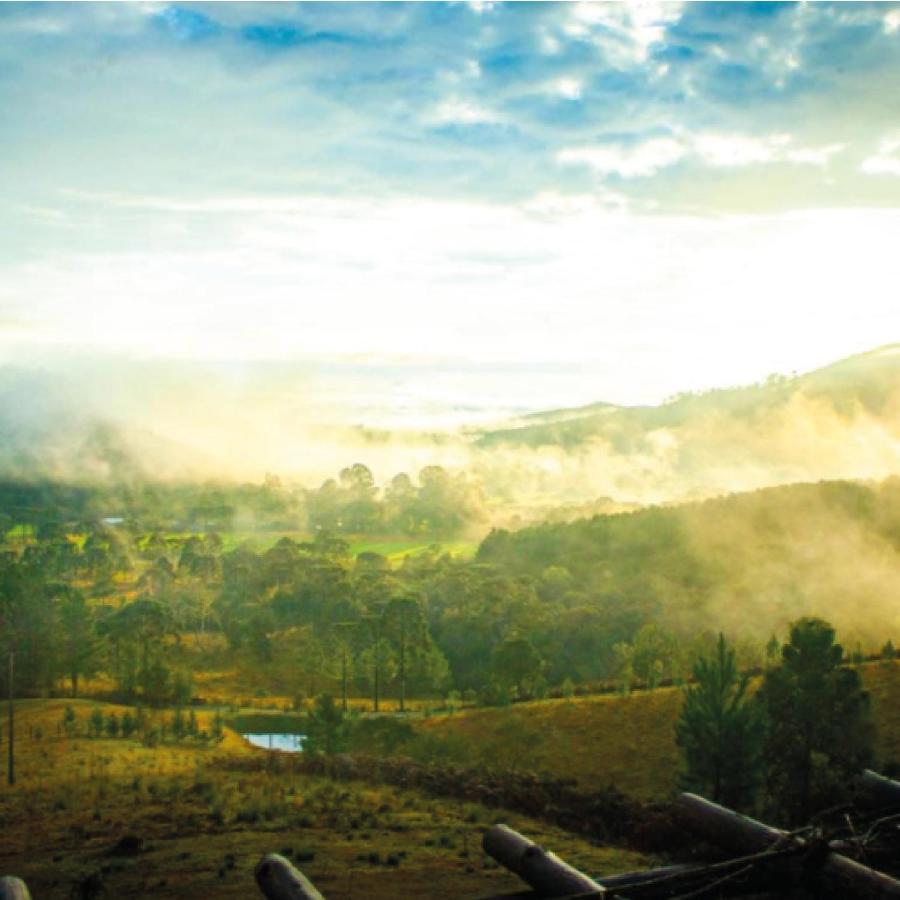 Yahoo Ecolodge Rio Rufino ภายนอก รูปภาพ
